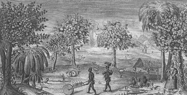 Imagen del libro JRelacion histórica del viage a la América Meridional ... para medir algunos grados de meridiano terrestre ... de 1748