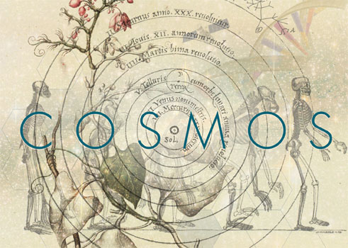Imagen exposición Cosmos
