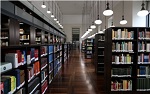Reapertura de Información Bibliográfica y Documentación Bibliotecaria