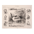 Adam, Victor Vicent (1801-1866). «Le castor et son emploi» Paris, Publié par Jeannin, entre 1839 y 1840