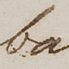 Carta de Emilia Pardo Bazán