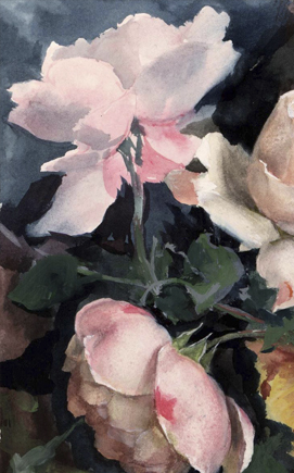 Rosas