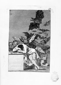 Francisco de Goya. El sueño de la razon produce monstruos