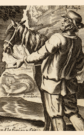 Imagen del panel 