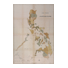 E. Fernández. División territorial del Archipiélago Filipino 