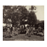 Félix Laureano. Hombres en una pelea de gallos 
