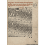 <i>Manual de adultos</i>