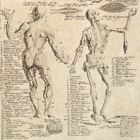Cyclopedia de Ephraim Chambers (London, 1728)
