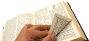 Bibliografía