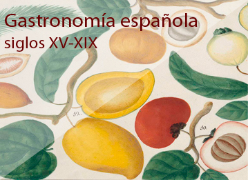 Gastronomía española: siglos XV-XIX: Guía bibliográfica