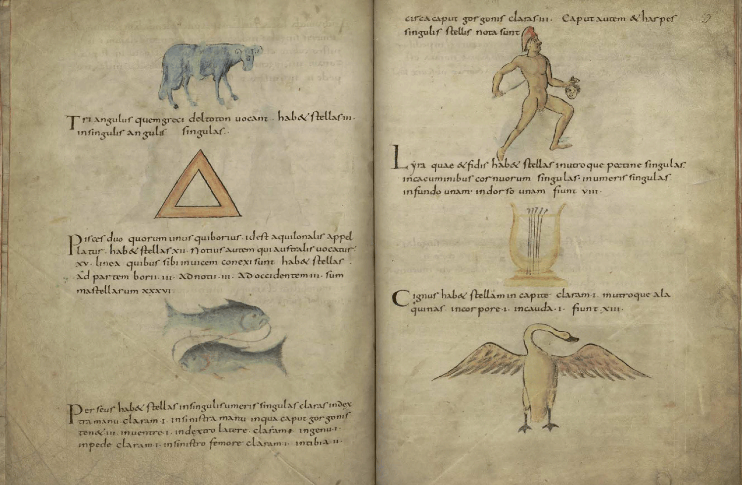 Códice de Metz. Biblioteca Nacional de España. GIF. Da vida a las colecciones de la BNE palabra, imagen y movimiento.