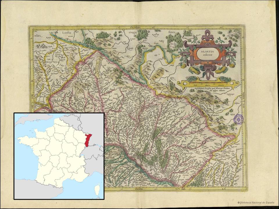 Figura 3-Alsacia