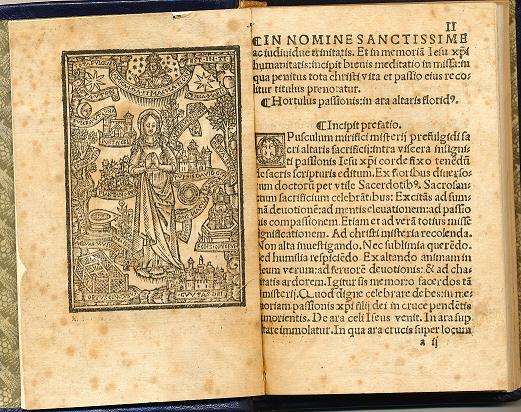Hortulus passionis in ara altare floridus