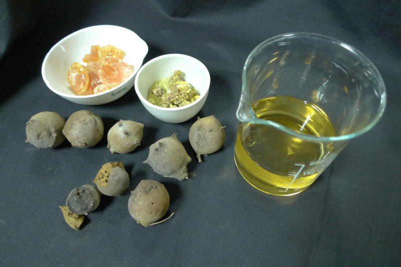 Vino blanco o agua, agallas de roble, goma arábiga y caparrosa, fueron los principales ingredientes utilizados para fabricar tinta en el Siglo de Oro.