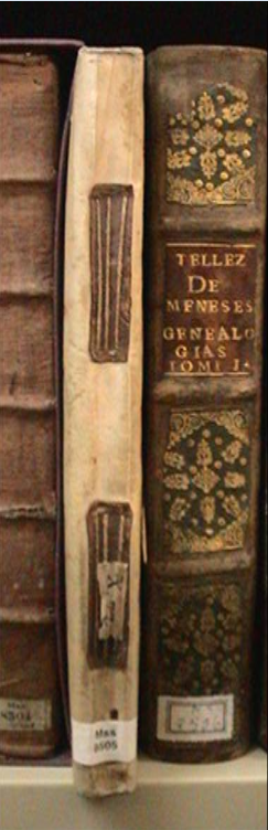 Fotografía 2. Encuadernación en pergamino flexible del Mss/8505.