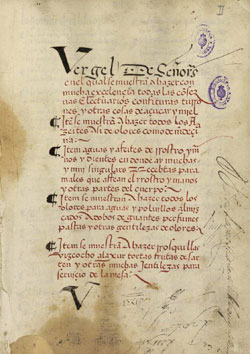 Vergel de señores, 1401