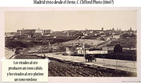 albúmina 2