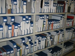 Vinilos_BNE