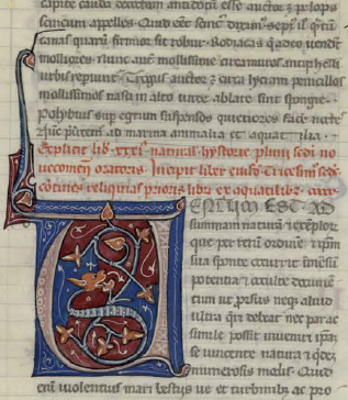 image003