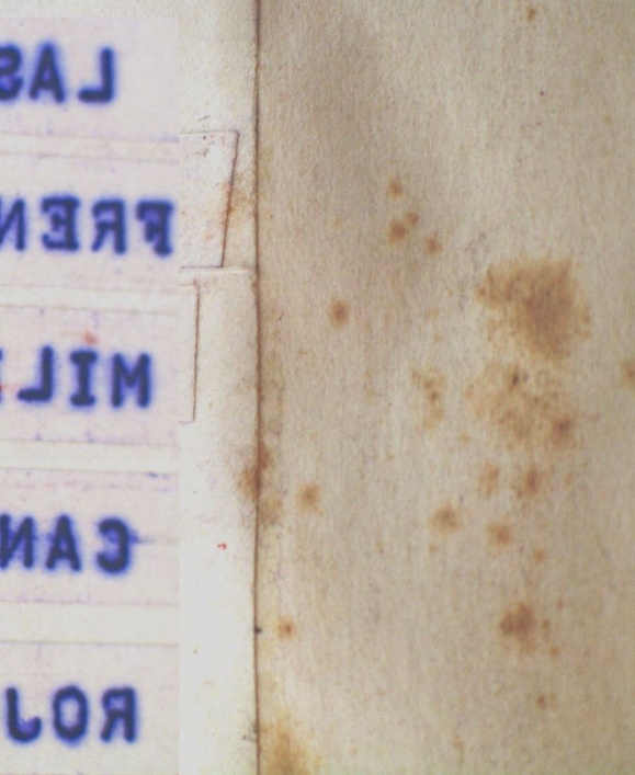 Muestra un problema típico el moteado o “foxing” del papel. tras años de investigaciones los investigadores siguen dudando si el origen es químico o biológico, o una combinación de ambos-