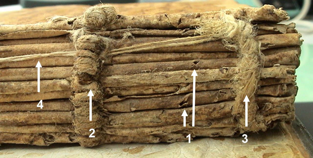 Fot. 3. Detalles de la costura antes de la restauración. 1. Orificios originales. 2. Nervios última encuadernación. 3. Cadeneta y anclaje de las cabezadas. 4. Hilo de la restauración del siglo XIX