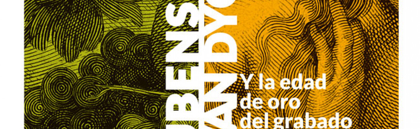 Gráfica de la exposición
