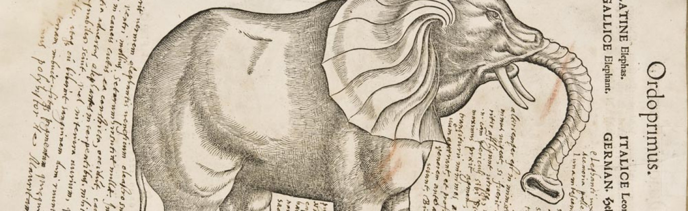 De la Historia Natural a la Biodiversidad. Un pasaje de libro