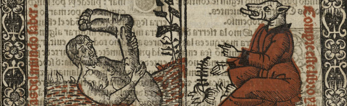 Libro de las marauillas del mūdo