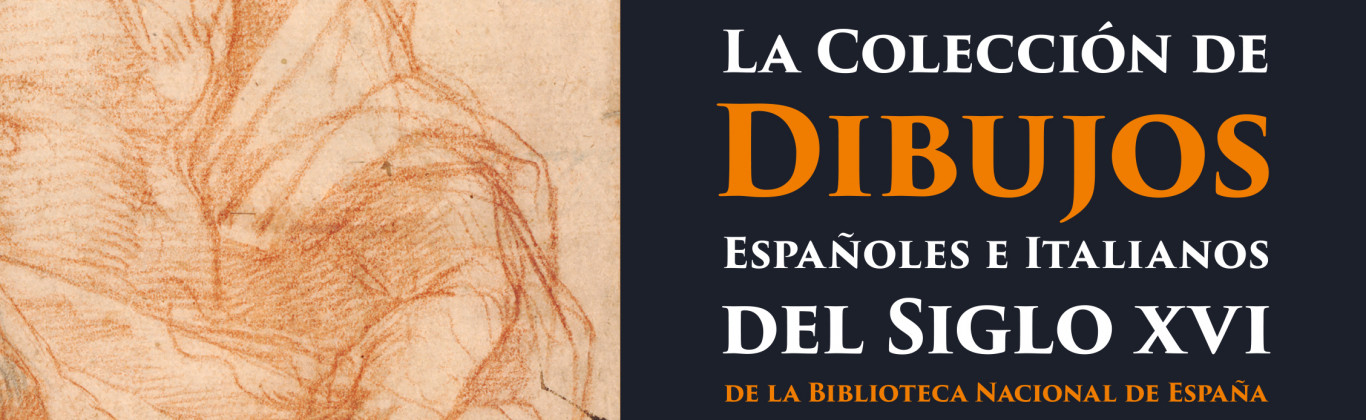 Exposición La colección de dibujos españoles e italianos del siglo XVI