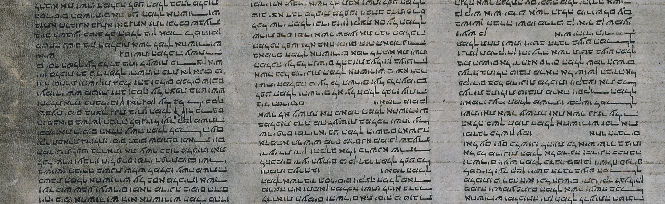 Biblia. A.T. Ester. Hebreo