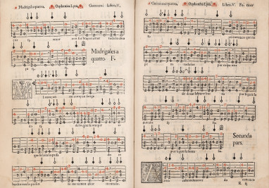 Libro de Música para vihuela intitulado Orphenica lyra