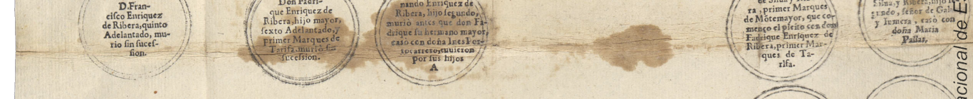 Por doña Ana Maria Enriquez de Ribera Duquesa de Alcala y Medina Celi. Y don Iuan Francisco de la Cerda Enriquez de Ribera, Marques de Alcala, su hijo mayor. 