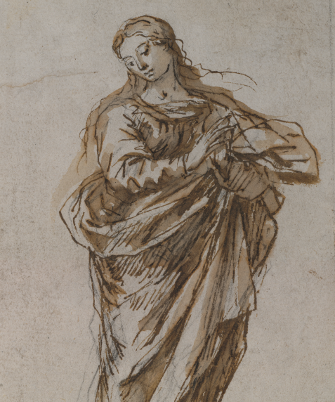 [Inmaculada Concepción]