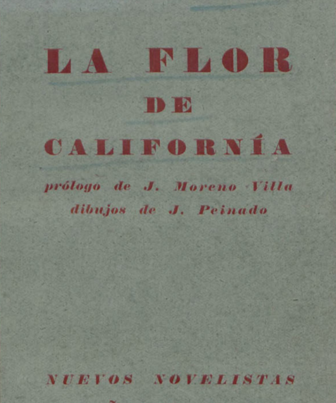 La flor de California