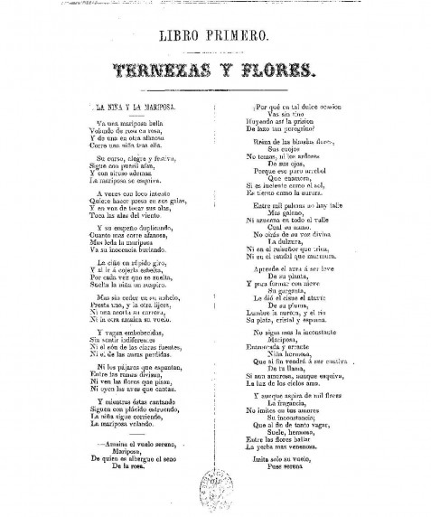 ternezas-y-flores