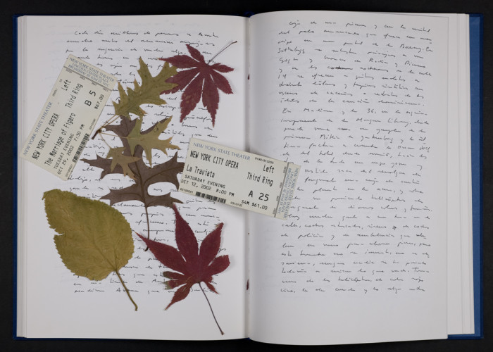 Documentos del archivo personal de Antonio Muñoz Molina