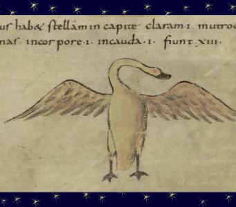 Códice_de_Metz-Gif_recorte_final Códice_de_Metz-Gif_recorte_final