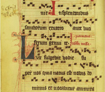 Gradual-.jpg Gradual-.jpg