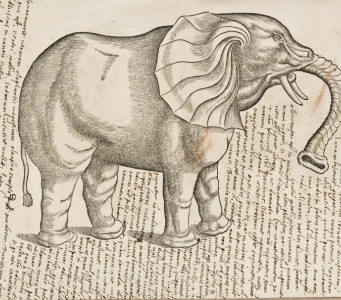 De la Historia Natural a la Biodiversidad. Un pasaje de libro