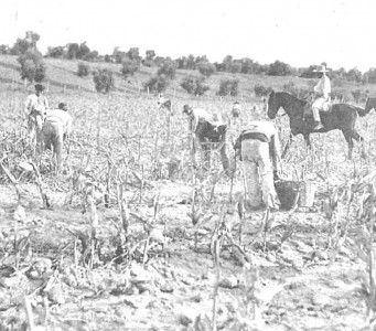 Sequia otoñal.Nuevo-mundo-Madrid-28-11-1930