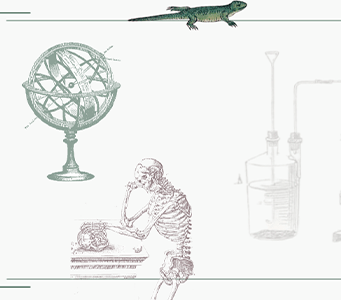 Cabecera de la Guía Ciencia española impresa