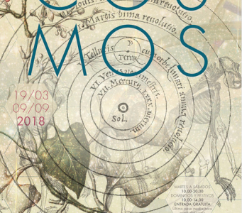 Exposición virtual Cosmos