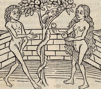 Detalle del incunable De claris mulieribus de Boccaccio Detalle del incunable De claris mulieribus de Boccaccio