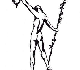 Premio Adonáis