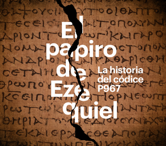 imagen6