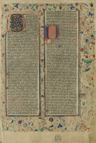 Catholicon