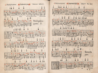 Libro de Música para vihuela intitulado Orphenica lyra