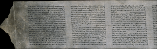 Biblia. A.T. Ester. Hebreo