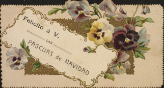 [Felicitaciones de Navidad y Año Nuevo.. Felicitaciones personales] 