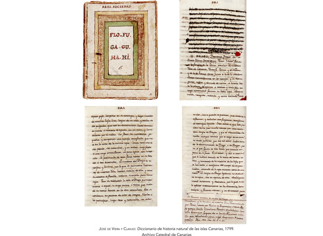 José de Viera y Clavijo: Diccionario de historia natural de las Islas Canarias, 1799. Archivo Catedral de Canarias